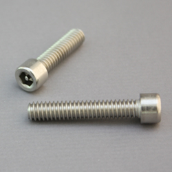 Socket Head (Hexagon Recessed Temper-Proof) Bolt